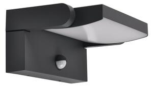 Brilagi - LED Aplica de perete pentru exterior ANKLE LED/12W/230V IP65 negru