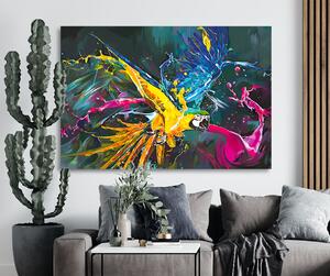 Canvas - Chromatic Parrot 50 x 70 cm
