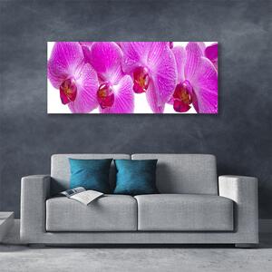Tablou pe panza canvas Flori roz Floral