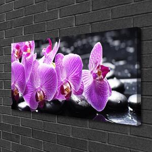 Tablou pe panza canvas Pietre florale flori violet negru