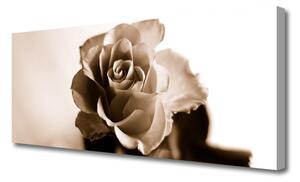 Tablou pe panza canvas Rose Floral Sepia