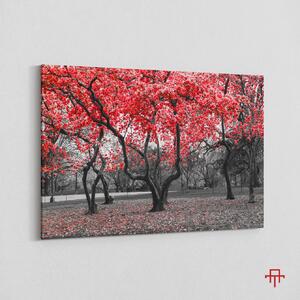 Canvas - Blossom 50 x 70 cm
