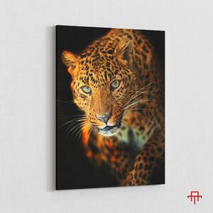 Canvas - Leopard 50 x 70 cm