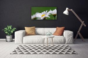 Tablou pe panza canvas Daisy Floral Alb Galben Verde