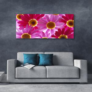 Tablou pe panza canvas Flori Floral galben roz