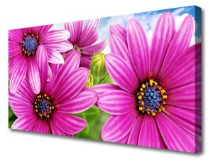 Tablou pe panza canvas Flori Floral Roz Galben Albastru