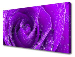 Tablou pe panza canvas Rose Floral violet