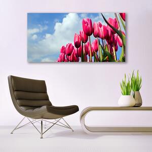 Tablou pe sticla Tulip Floral Roz Verde