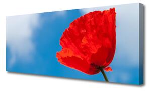 Tablou pe panza canvas Tulip Floral Roșu Albastru