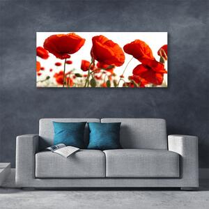 Tablou pe panza canvas Lalele Floral Red White