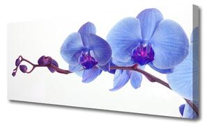Tablou pe panza canvas Flori Floral Albastru Violet