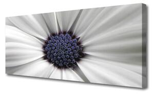 Tablou pe panza canvas Flower Floral Alb Gri Violet