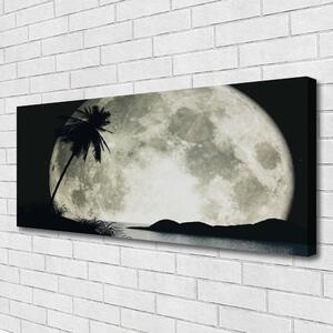 Tablou pe panza canvas Noapte Luna Palm Peisaj Negru Gri Alb