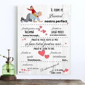 INSPIO-Producție cadouri și deco - Un cadou pentru bunicul, sub bradul de Crăciun, cu un mesaj de apreciere și o declarație de iubire, dimensiune 40 x 30 cm. Livrăm în 24 de ore