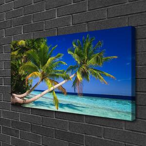 Tablou pe panza canvas Palm Tree Sea Peisaj Verde Albastru Maro