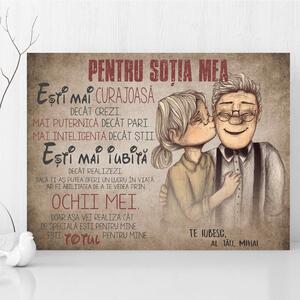 INSPIO-Producție cadouri și deco - Declarație de dragoste pentru femeia iubită - 40x30cm - Livrăm în termen de 24 de ore