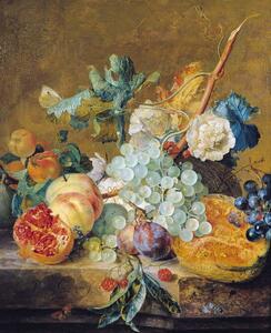 Jan van Huysum - Reproducere Flowers and Fruit, (35 x 40 cm)