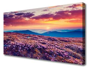 Tablou pe panza canvas Pajiște de munte Flori Natura Violet Albastru Portocaliu