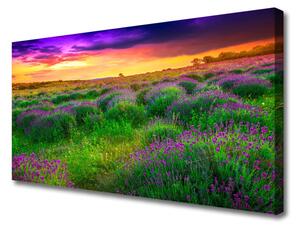 Tablou pe panza canvas Meadow Natura Roz Violet Galben Verde