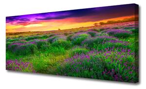 Tablou pe panza canvas Meadow Natura Roz Violet Galben Verde