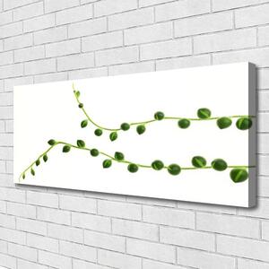 Tablou pe panza canvas Plante Ornamentale Floral Verde Alb