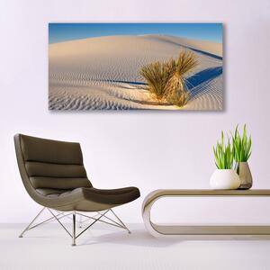 Tablou pe panza canvas Desert Peisaj Brun Verde