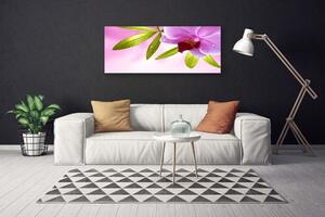 Tablou pe panza canvas Frunze florale flori roz verde