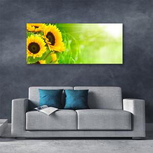 Tablou pe panza canvas Floarea soarelui Floral Brun Galben Verde