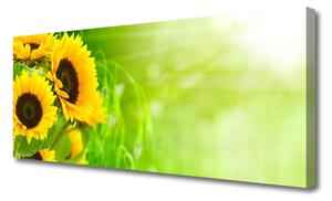 Tablou pe panza canvas Floarea soarelui Floral Brun Galben Verde