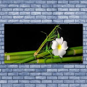 Tablou pe sticla Bamboo flori Floral Alb Verde