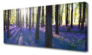 Tablou pe panza canvas Pădure Natura Brown Violet