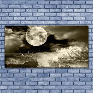 Tablou pe panza canvas Noapte Moon Peisaj Gri Negru