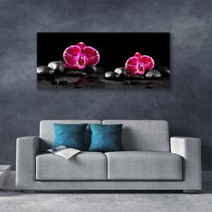 Tablou pe panza canvas Pietrele florale flori Negru Roșu
