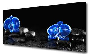 Tablou pe panza canvas Pietre florale flori albastru negru