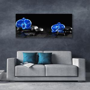 Tablou pe panza canvas Pietre florale flori albastru negru