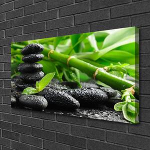 Tablou pe panza canvas Bamboo Pietre Floral Verde Negru