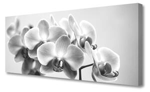 Tablou pe panza canvas Flori Floral Gray