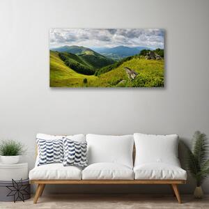 Tablou pe panza canvas Mountain Meadow Peisaj Verde Gri