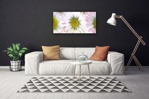 Tablou pe panza canvas Daisy Floral Verde Gri Alb