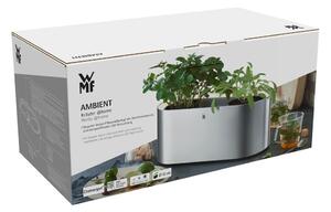 Ghiveci din inox WMF Ambient Herbs