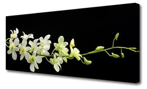 Tablou pe panza canvas Flori Floral Alb Verde