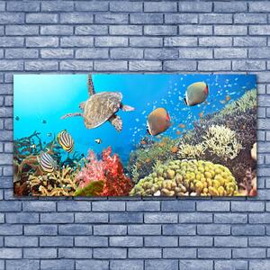 Tablou pe panza canvas Coral Reef Peisaj Multi