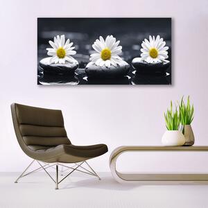 Tablou pe panza canvas Daisy pietre Floral Galben Alb Negru