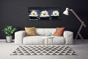 Tablou pe panza canvas Daisy pietre Floral Galben Alb Negru
