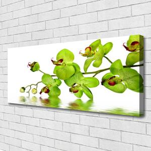 Tablou pe panza canvas Flori Floral Verde