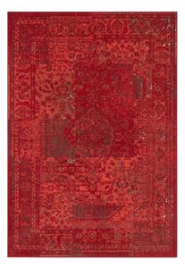 Covor Hanse Home Celebration Plume, 120x170 cm, roșu