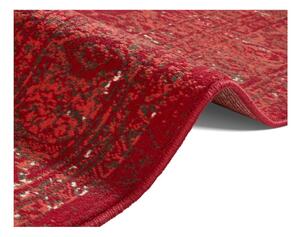 Covor Hanse Home Celebration Plume, 160x230 cm, roșu
