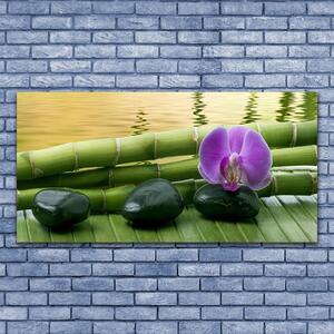 Tablou pe sticla Floare pietre de bambus Tulpini Floral Roz Negru Verde