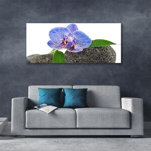 Tablou pe panza canvas Flower Floral Purple Verde