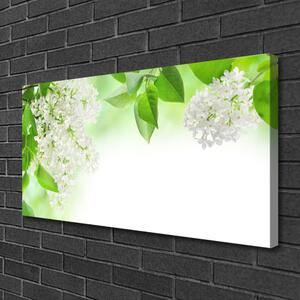 Tablou pe panza canvas Petale Floral Alb Verde